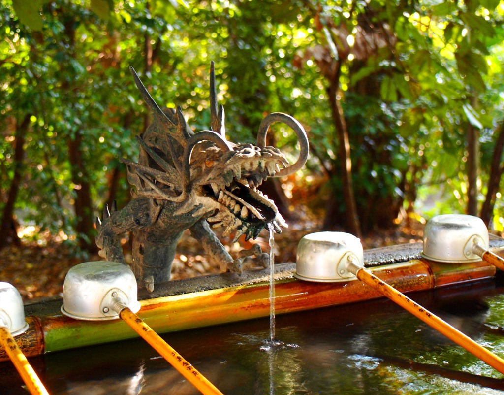 手水舎の龍