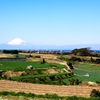 キャベツ畑と富士山とチョコっと海