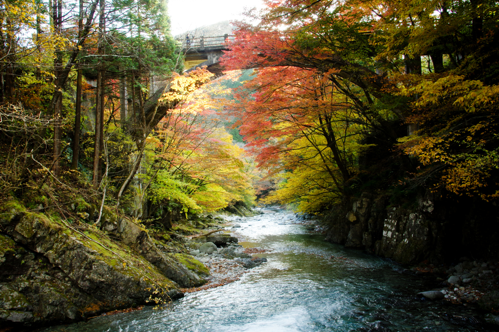 紅葉狩り②