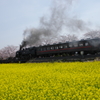 真岡鐵道SL（春）②