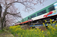 真岡鐵道（春）②