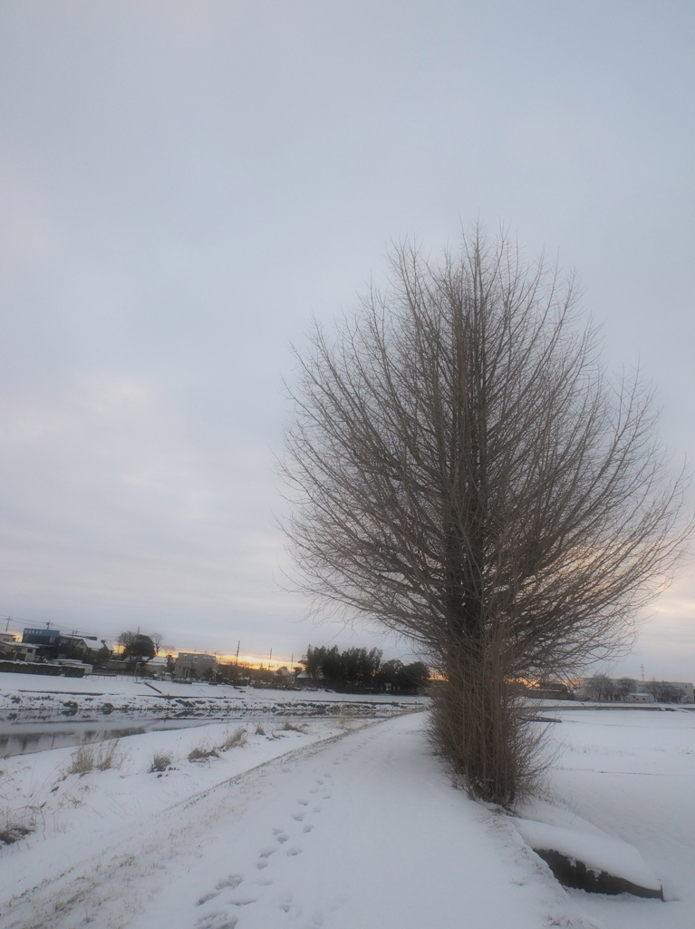 White Morning