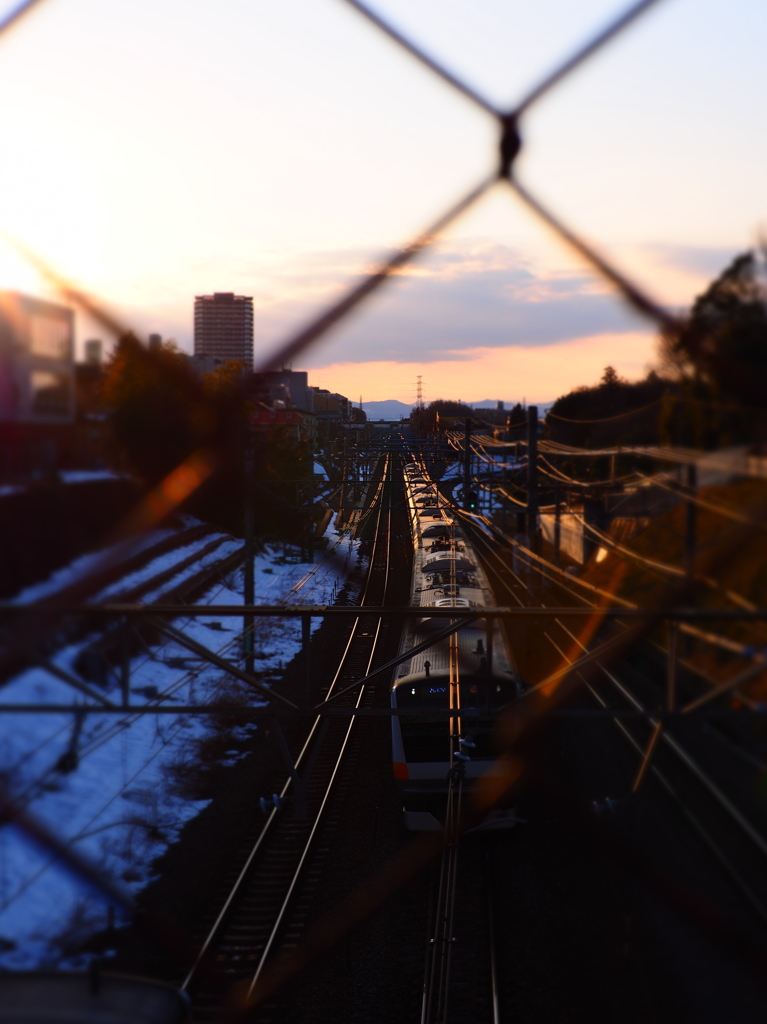 夕暮れの中央線