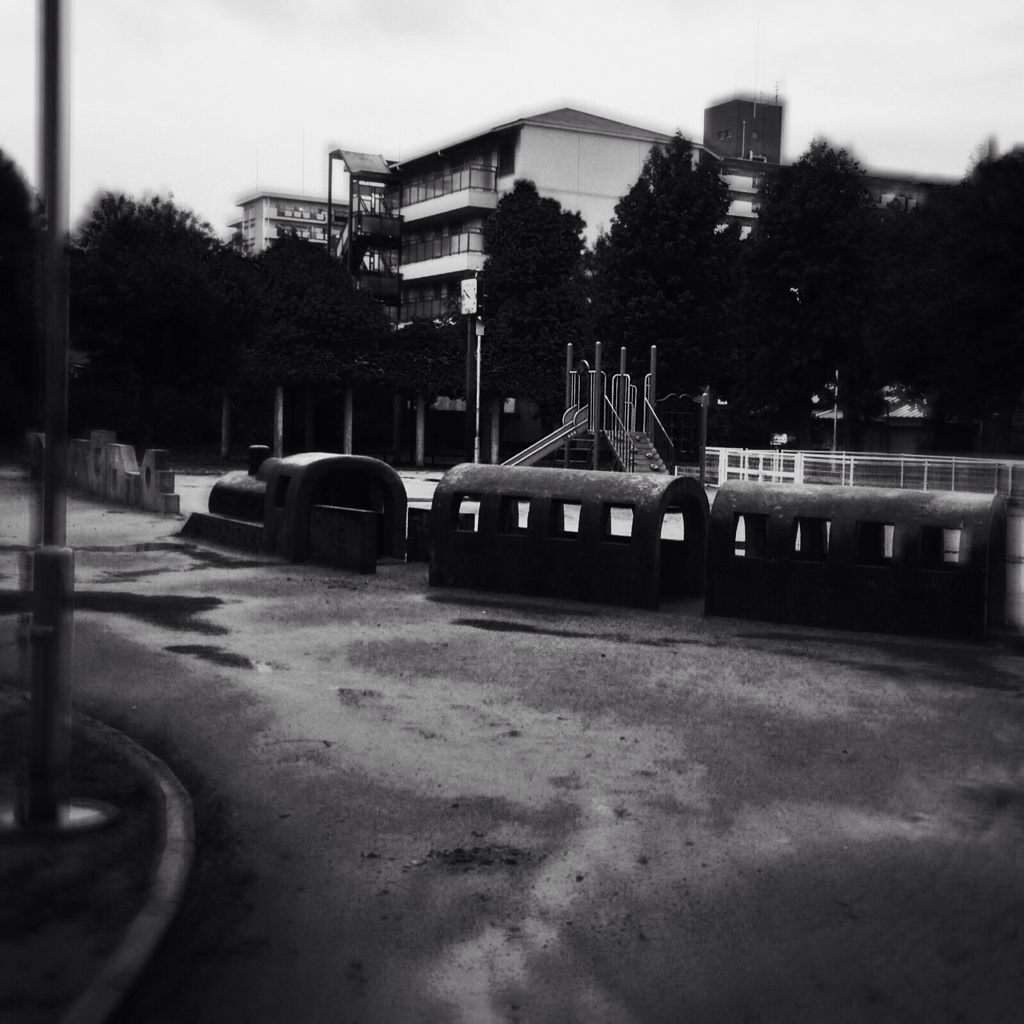 雨の公園