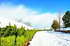 雪道