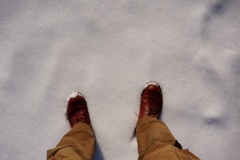 積雪