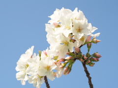 P3310344
