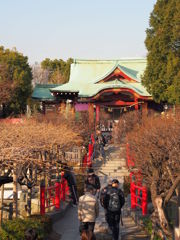 春を待つ