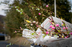 花売りの軽トラから