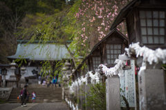 境内へ続く道に
