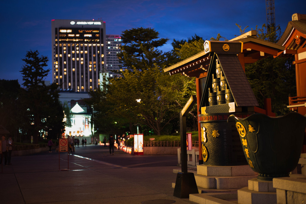 お寺の境内越しのビルの明かり