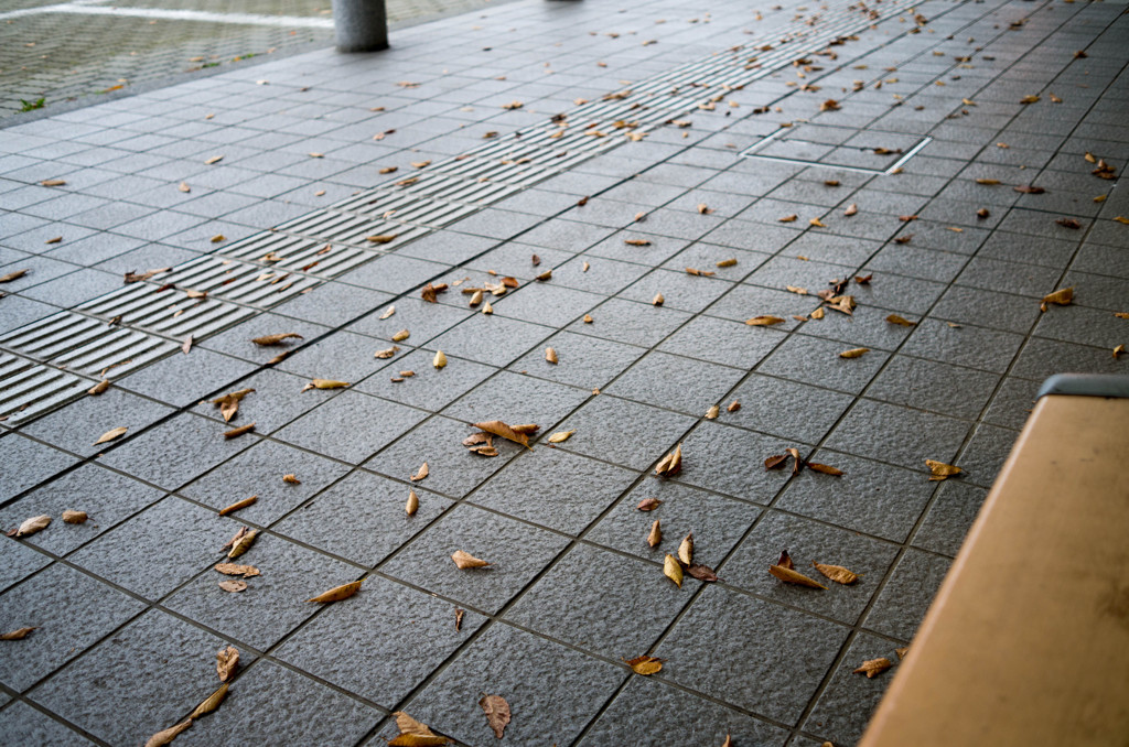 落ち葉舞う空港