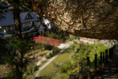 山の上から温泉街を臨む