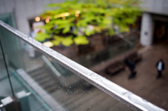 雨の雫から