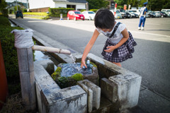 久しぶりのラムネに