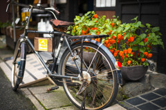 看板代わりの古い自転車に