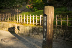 知らなかった