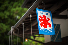 もう最後かな？