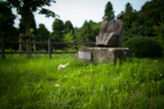 高村智恵子のふるさと