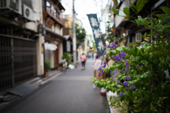 日本の路地裏