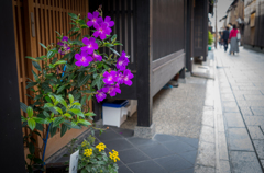 京の都4