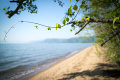 お〜い、つるくん、君も湖に入りたいの？