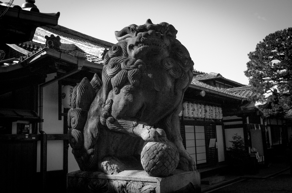 歴史の街