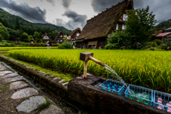 _UBE8636