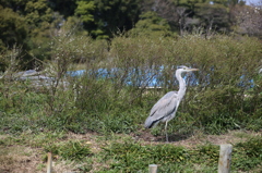 IMG_5946