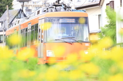 世田谷線