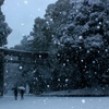 明治神宮、雪化粧。