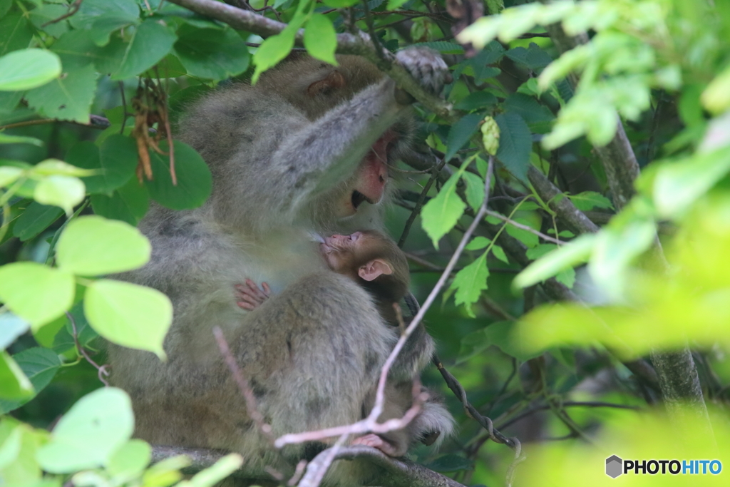 何を話してるの？