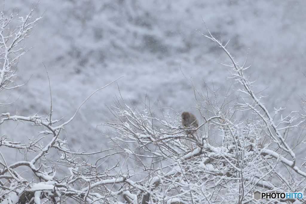 今日も雪景色の中で