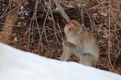 ご馳走を手にして