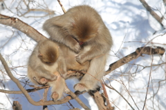 親子だね^^