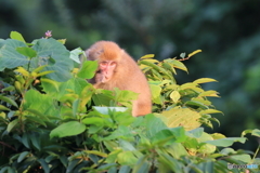 戻ってきた夏の陽射しの中で