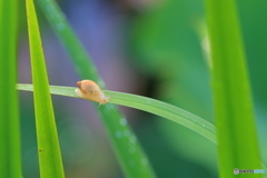 梅雨の季節に