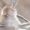 春はどこから来るのかな？