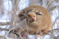 挟まれちゃった
