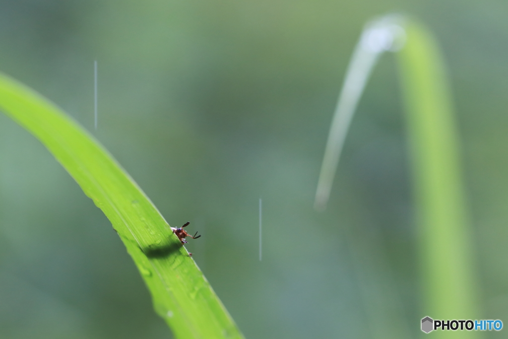 雨止まないかなぁ