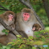家族写真
