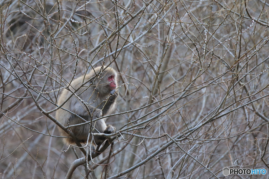 今日もご馳走を手に