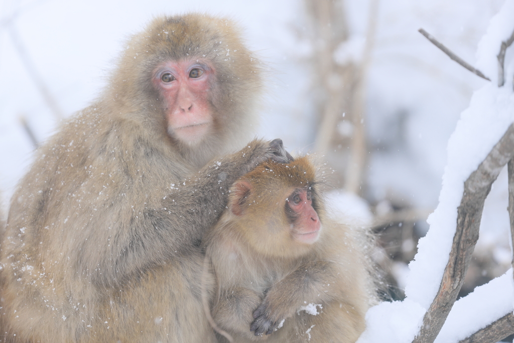 あなたと一緒なら