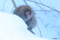君の瞳の奥にあるもの