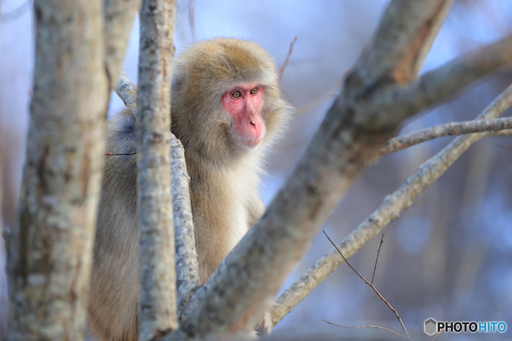 何を見ているの？