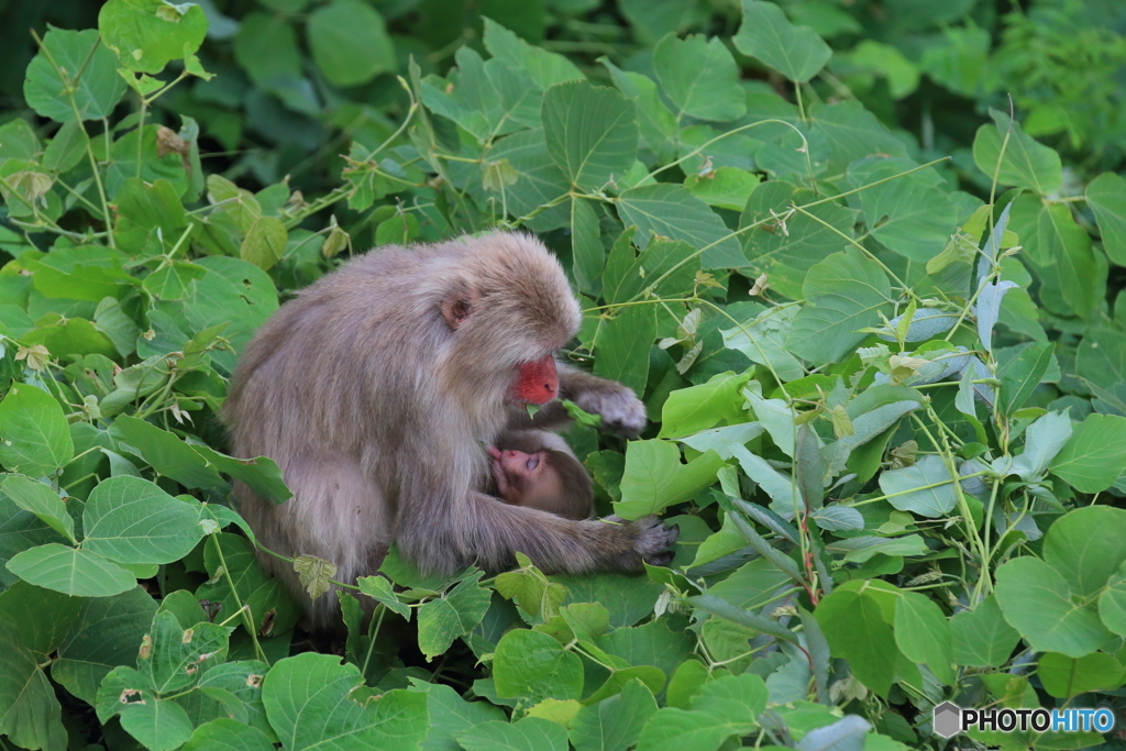 親子の食事