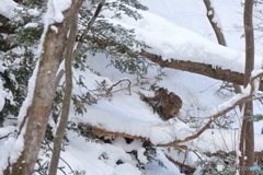 雪に埋もれた谷で
