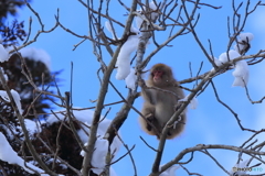 冬の青空の下で