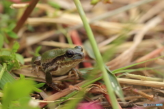 寒くなってきたね