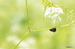 ５月の眩しい光の中で